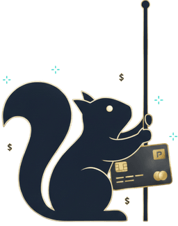 Perks Squirrel Holding Recommendation